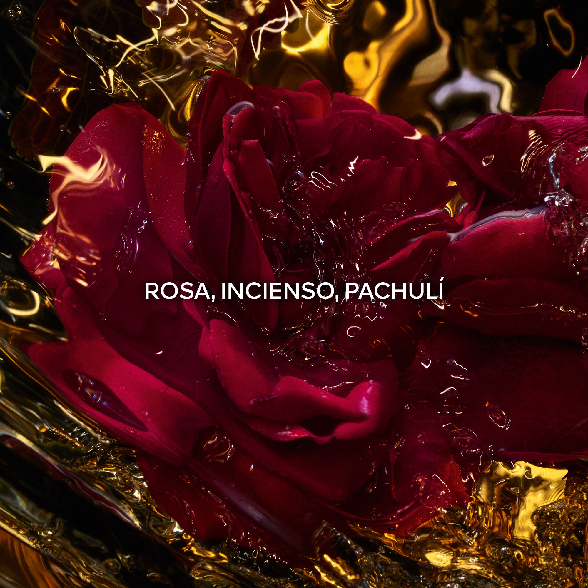 ABSOLUS ALLEGORIA ROSE AMIRA EAU DE PARFUM